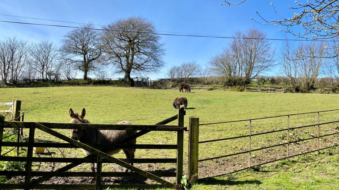 Beachborough Country House Barnstaple Zewnętrze zdjęcie