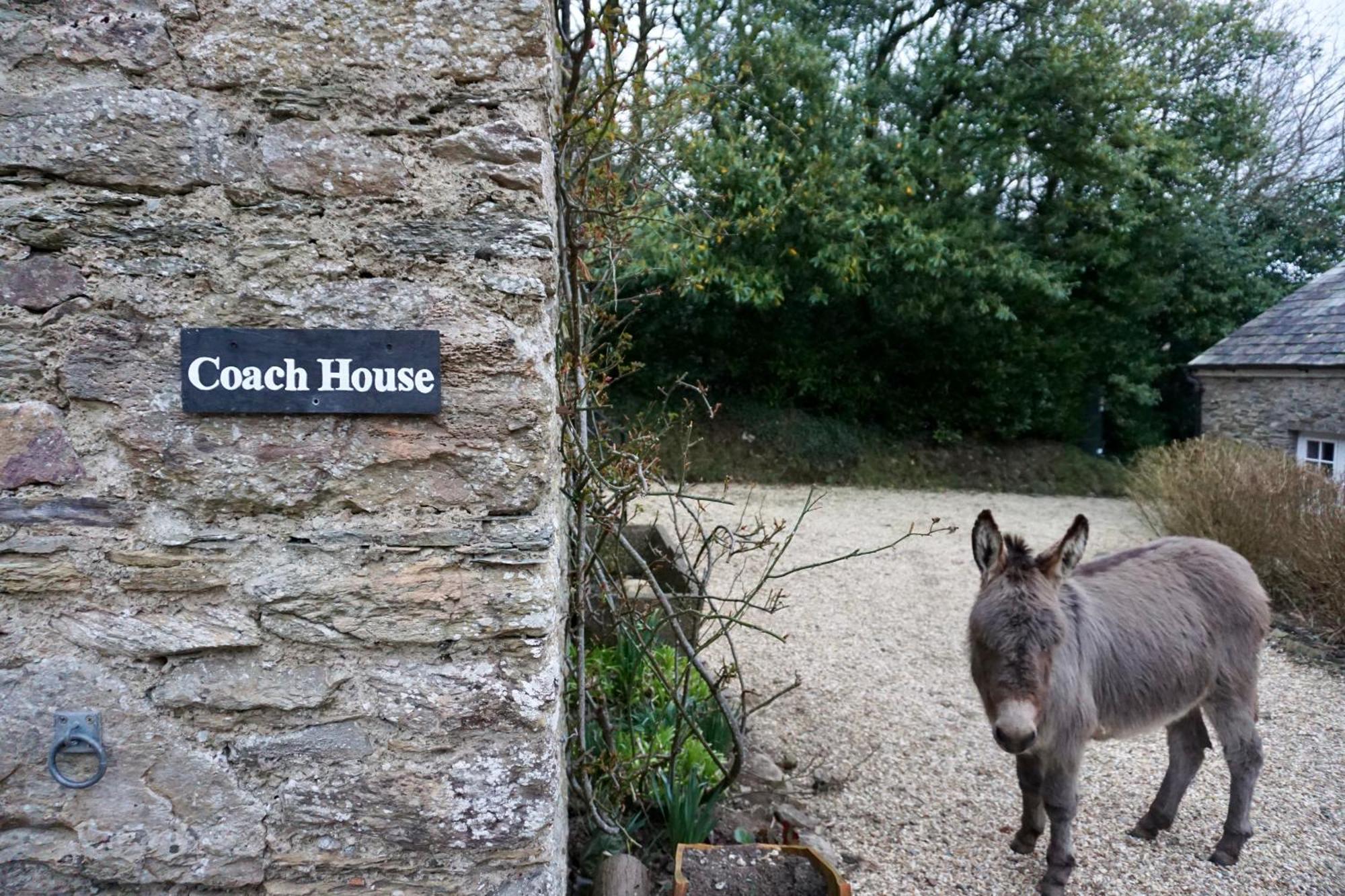 Beachborough Country House Barnstaple Zewnętrze zdjęcie